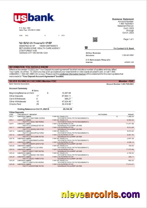 U.S. Bank organization account statement
